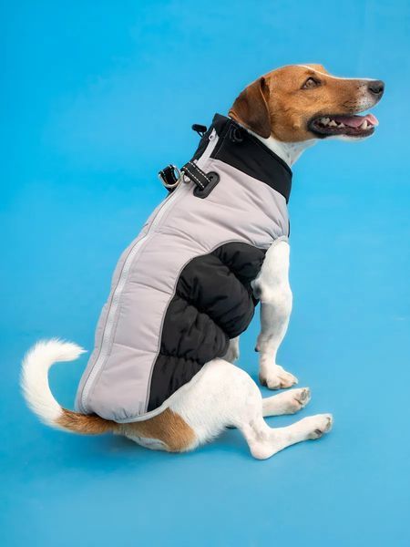 Жилетка для собак Диего 3XL Черный фото 4
