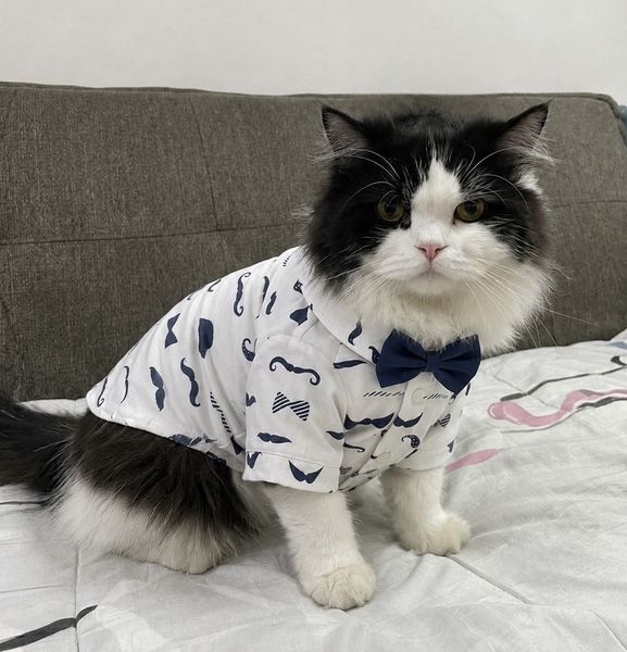 Рубашка для котов (кошек) Джентельмен S Белый фото 6
