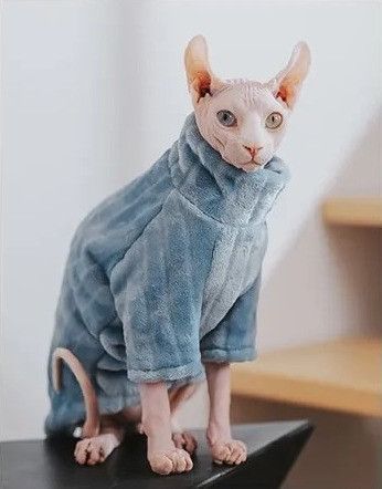 Флісова кофта для котів (кішок) Фараон L Сіро-голубий фото 4