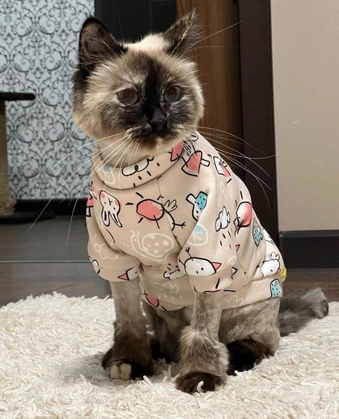 Толстовка для котов (кошек) Лаки Микс XS Бежевый фото 9