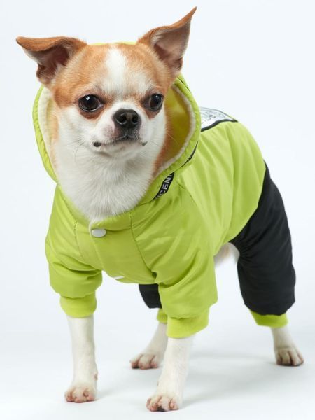 Зимовий комбінезон для собак Dog 2XL Салатовий фото 11