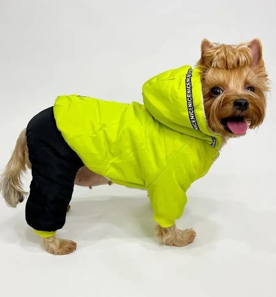 Зимовий комбінезон для собак Dog 2XL Салатовий фото 7