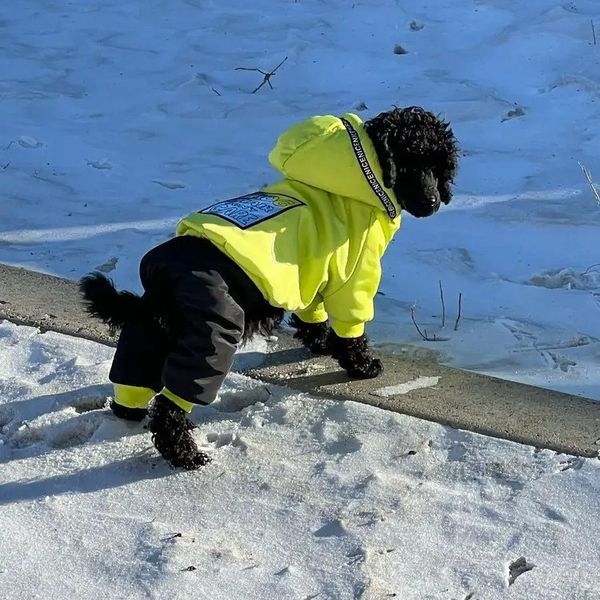 Зимовий комбінезон для собак Dog 2XL Салатовий фото 14