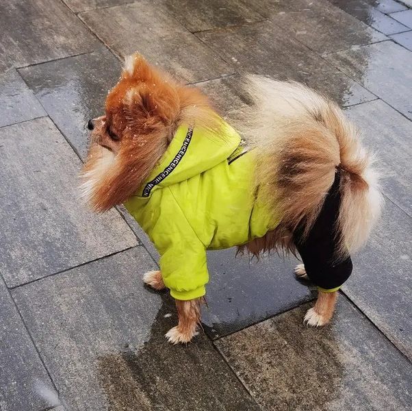 Зимовий комбінезон для собак Dog 2XL Салатовий фото 12