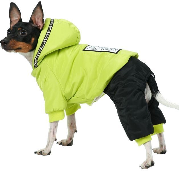 Зимовий комбінезон для собак Dog 2XL Салатовий фото 3
