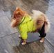 Зимовий комбінезон для собак Dog 2XL Салатовий 109484448 фото 12