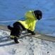 Зимовий комбінезон для собак Dog 2XL Салатовий 109484448 фото 14