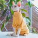 Костюм із закритим животом для котів Смугастик XS Помаранчевий фото 1