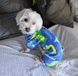 Костюм для собак флісовий Динозаври XS Синій 6250 фото 8