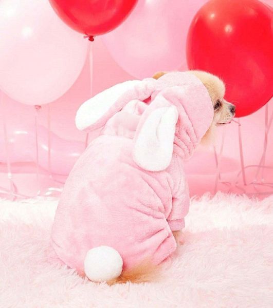 Костюм для собак флісовий Зайка XS Рожевий фото 8