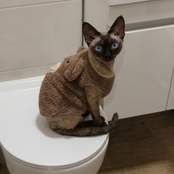 Флисовая кофта для котов (кошек) Медведь с ушками XS Коричневый фото 6