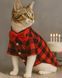 Рубашка для котов (кошек) Клеточка XS Красный фото 1