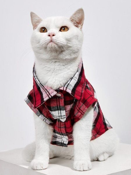 Рубашка для котов (кошек) Ретро XS Красный фото 5