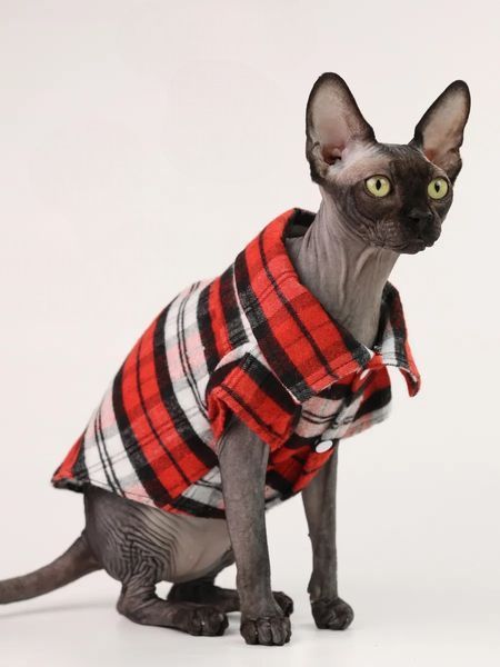 Рубашка для котов (кошек) Ретро XS Красный фото 2