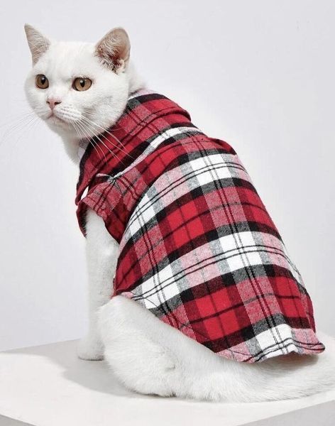 Рубашка для котов (кошек) Ретро XS Красный фото 4