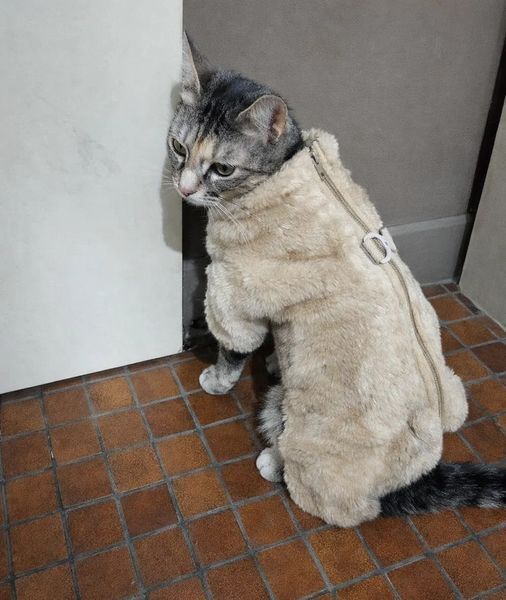 Костюм для котов (кошек) флисовый Rich S Бежевый фото 5