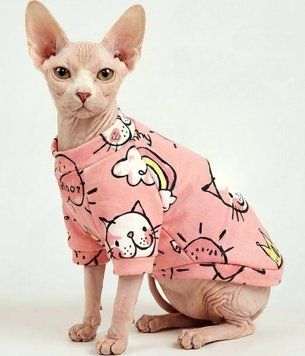 Толстовка для котів (кішок) Лакі Корона XS Рожевий фото 1