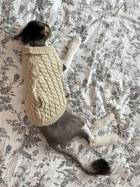 Светр для котів (кішок) Косичка XS Бежевий фото 9