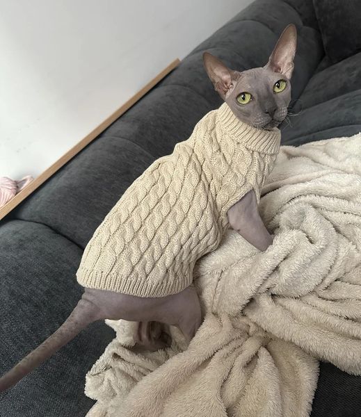 Светр для котів (кішок) Косичка XS Бежевий фото 8