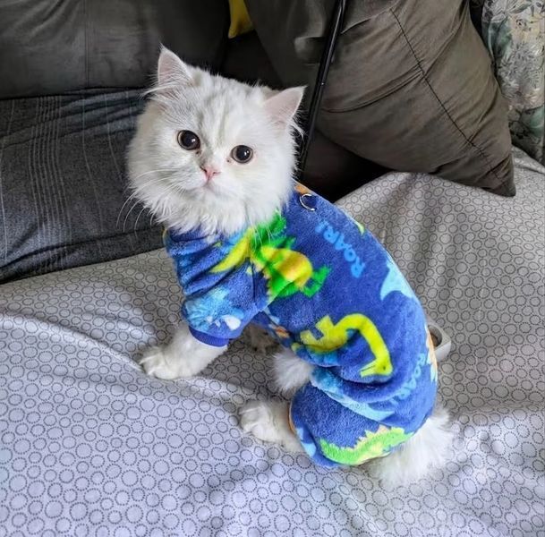Костюм для котів (кішок) флісовий Динозаври XS Синій фото 5