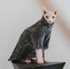 Флисовая кофта для котов (кошек) Фараон S Темно-серый 109485881 фото 3