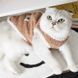 Флісова кофта для котів (кішок) Зефір S Коричневий 6098 фото 8