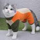 Флисовый костюм для котов (кошек) Петрос S Оранжевый фото 1