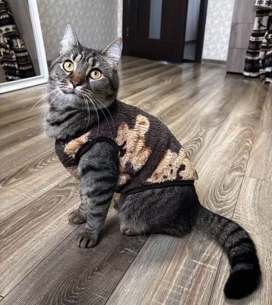 Толстовка для котів (кішок) Тобі XS Коричневий фото 3