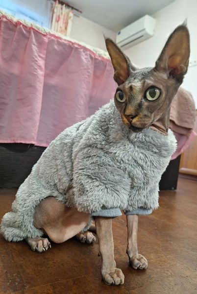Костюм для котов (кошек) флисовый Пушистик M Серый фото 7