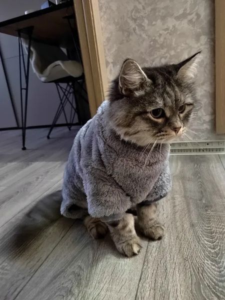 Костюм для котов (кошек) флисовый Пушистик M Серый фото 9