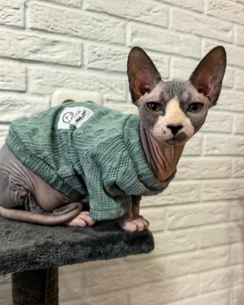 Кофта для котів (кішок) Мереживо XL М'ятний фото 7