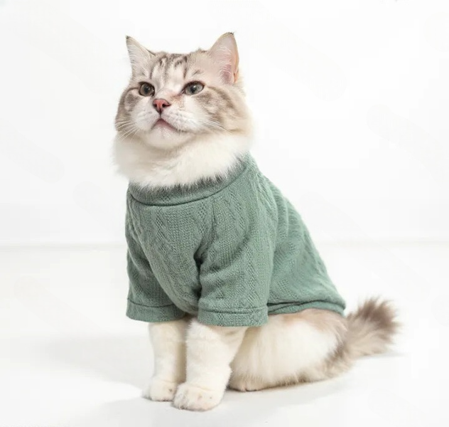 Кофта для котів (кішок) Мереживо XL М'ятний фото 4