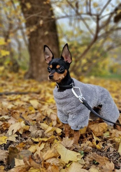 Костюм для собак флісовий Пухнастик S Сірий фото 9