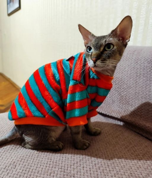 Флісова кофта для котів (кішок) Смужечка S Червоно-зелений фото 7