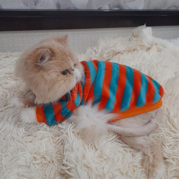 Флісова кофта для котів (кішок) Смужечка S Червоно-зелений фото 10