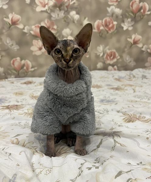Костюм для котов (кошек) флисовый Пушистик S Серый фото 12