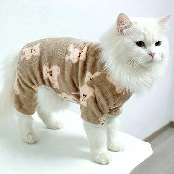 Костюм для котів (кішок) флісовий Вінні XS Коричневий фото 1
