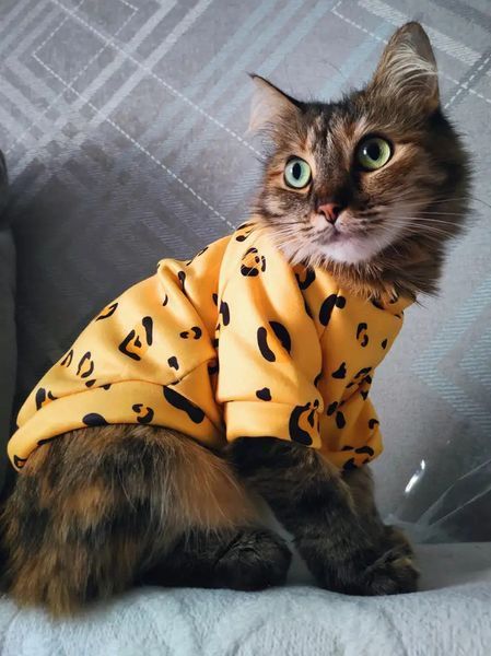 Толстовка для котів (кішок) Лакі Леопард XL Жовтий фото 4