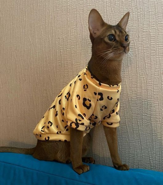 Толстовка для котів (кішок) Лакі Леопард XL Жовтий фото 8