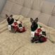 Свитер для котов (кошек) Праздничный XS 6266 фото 5