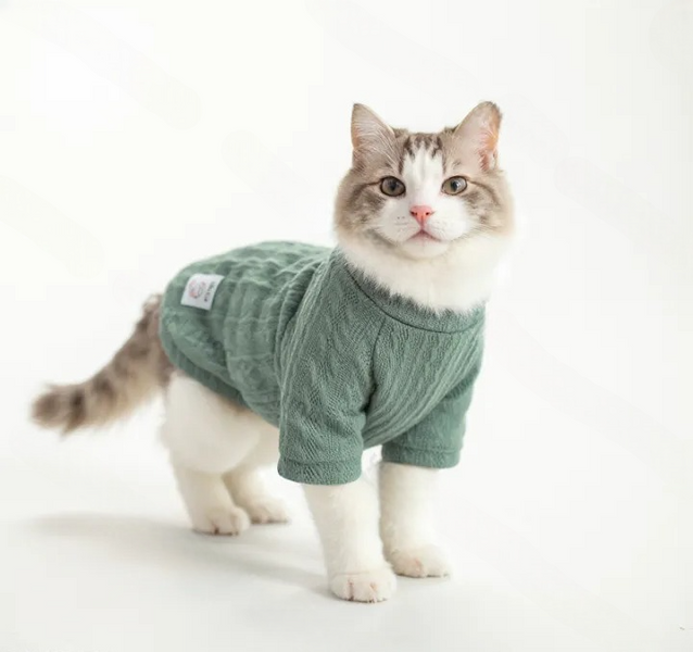 Кофта для котів (кішок) Мереживо XS М'ятний фото 5