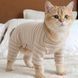 Костюм с закрытым животом для кошек Дейзи S Бежевый фото 1