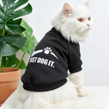 Толстовка для котів (кішок) Найк XS Чорний фото 1