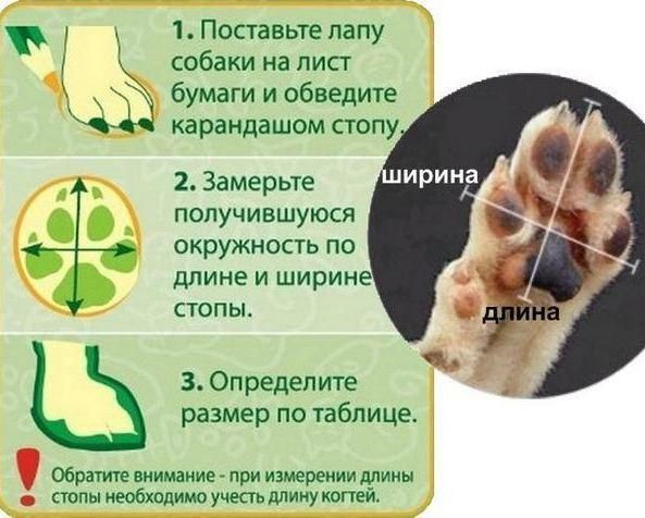 Непромокаєме гумове взуття для собак Active L Чорний фото 7