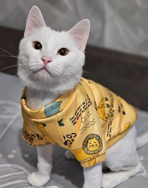 Толстовка для котов (кошек) Лаки Африка XS Желтый фото 13