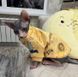 Толстовка для котов (кошек) Лаки Африка XS Желтый 109485723 фото 14