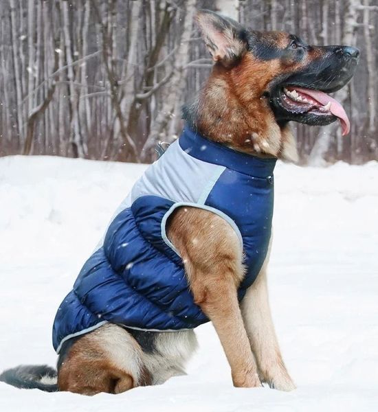 Жилетка для собак Диего 2XL Синий фото 6