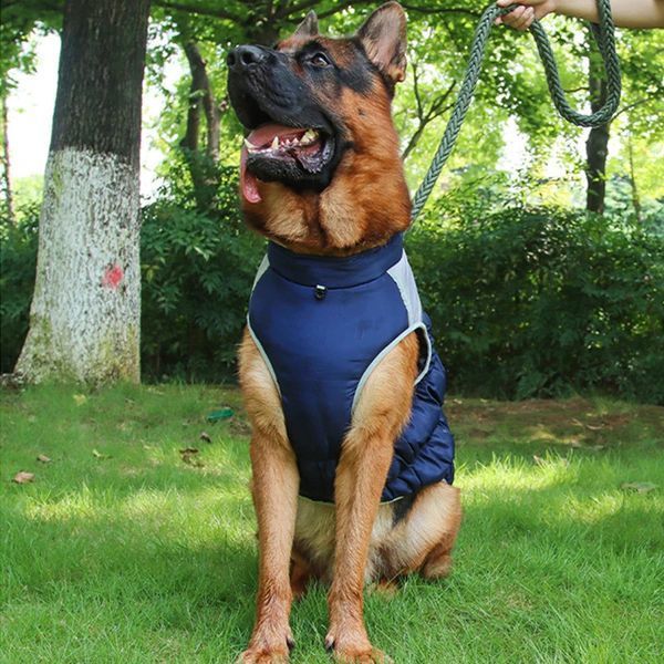 Жилетка для собак Диего 2XL Синий фото 9