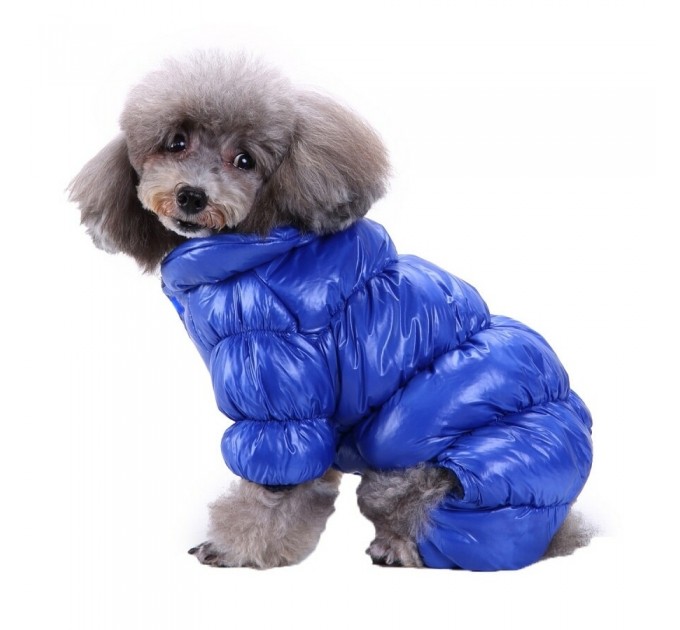 Зимний комбинезон «Дутик» для собак синий, размер XS