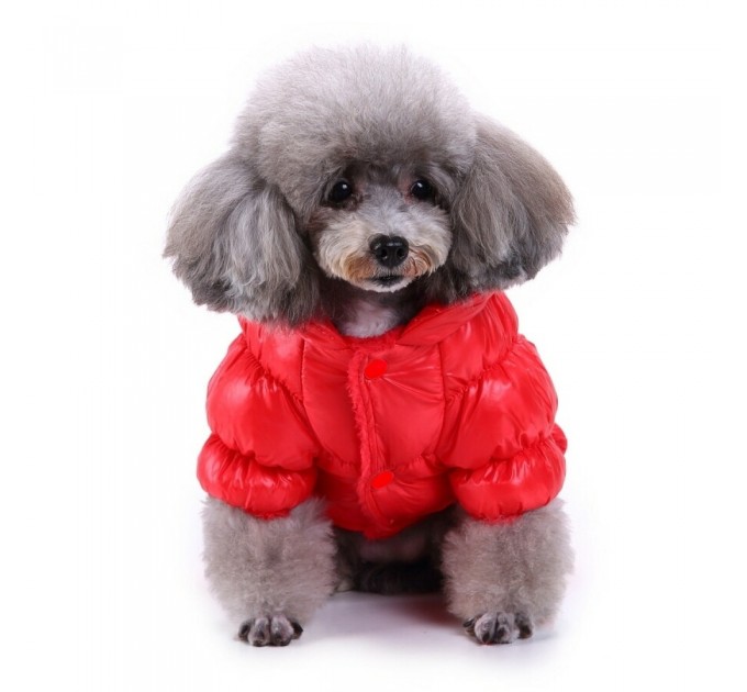 Зимний комбинезон «Дутик» для собак красный, размер XS